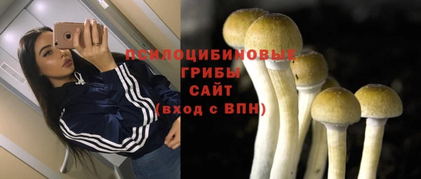 гидра Покровск