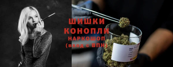 гидра Покровск