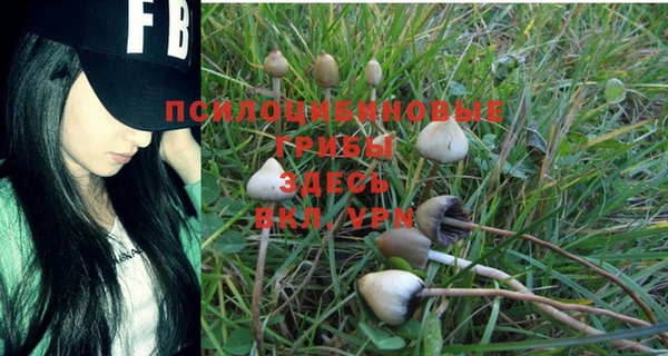 дмт Покачи