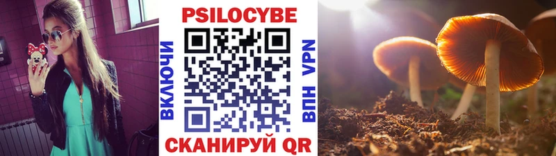Галлюциногенные грибы прущие грибы  Купить закладки  Сусуман 